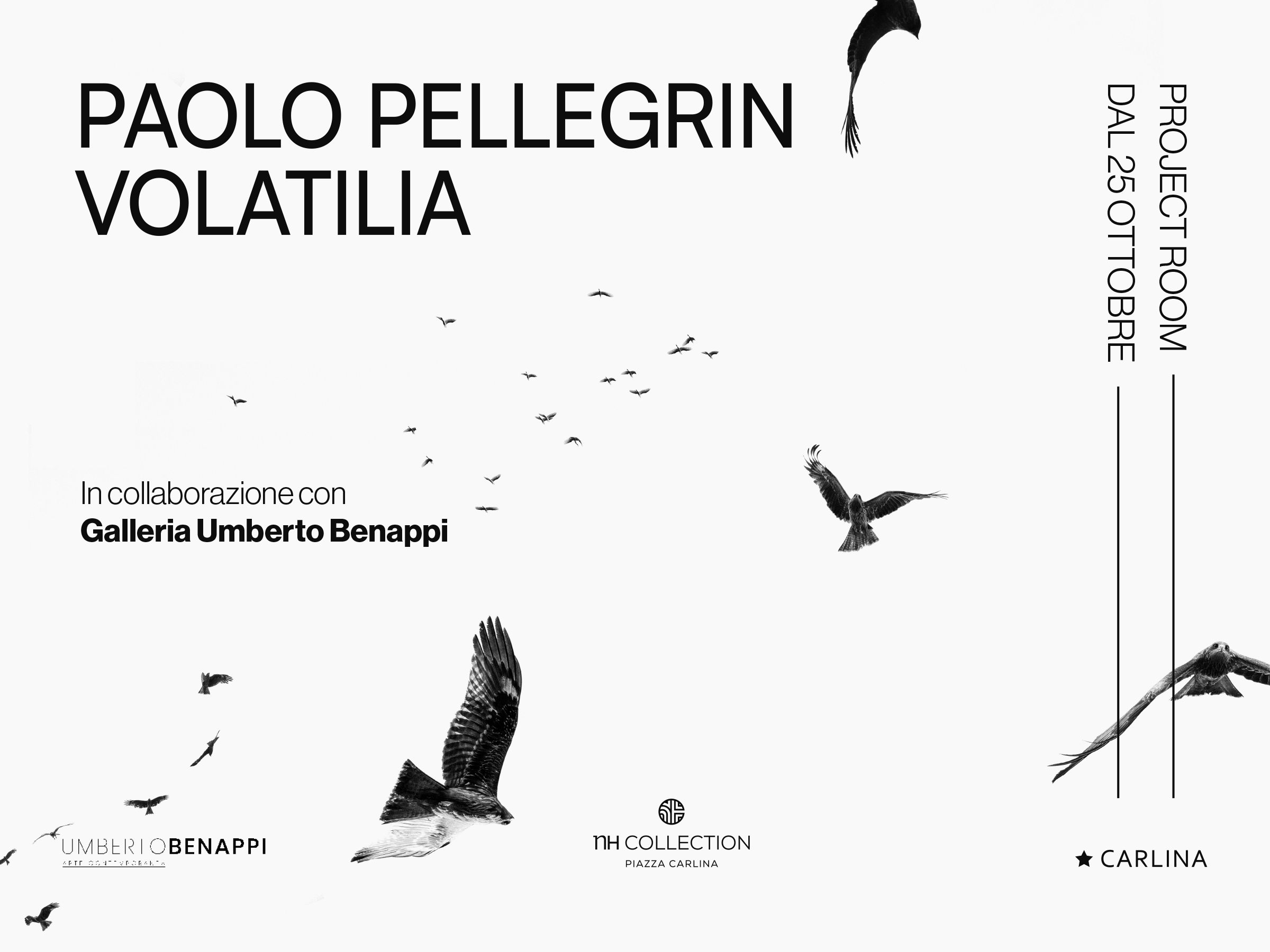 PAOLO PELLEGRIN VOLATILIA PROJECT ROOM